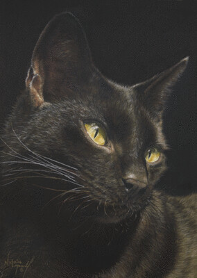 'Elegant' is an Open edition giclee fine art print of a black cat from the hand-drawn pastel drawing by Natalie Mascall ©