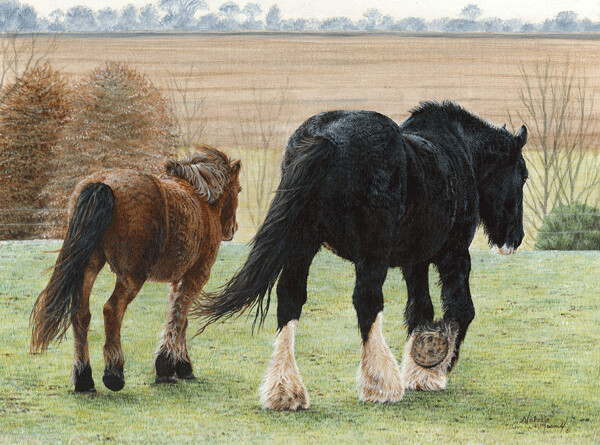 'Amble...' is an Original acrylic painting of shire horses by Natalie Mascall © prints available...