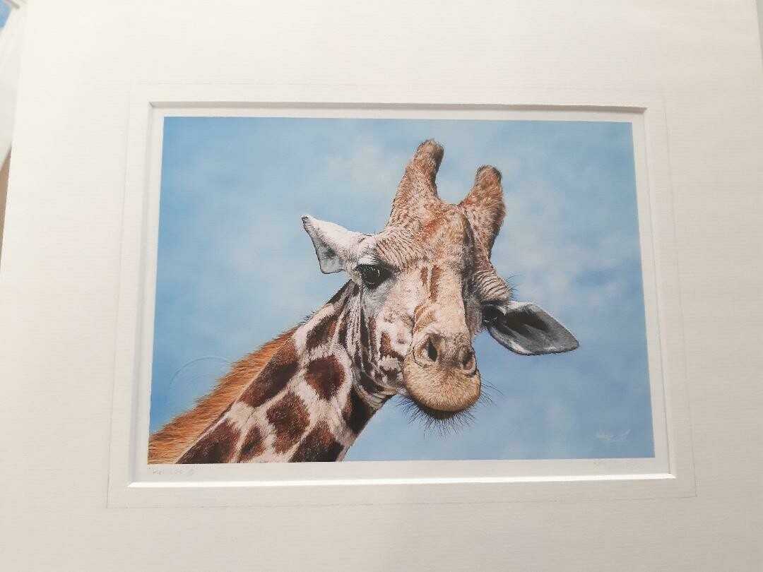 'Helllloo' is an open edition giclee fine art print from the original pastel drawing of a giraffe, drawn by Natalie Mascall ©