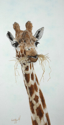 'Lunch' is an open edition giclee fine art print from the original pastel drawing of a giraffe by Natalie Mascall ©