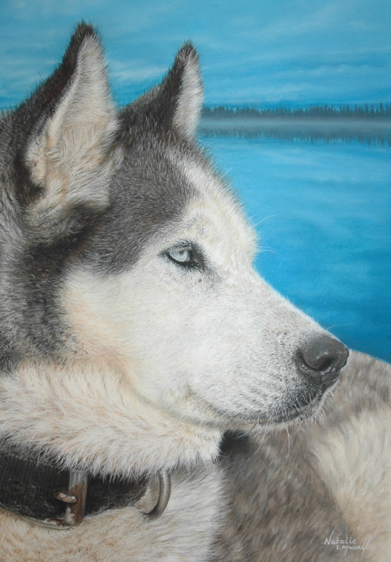 'Husky' is an open edition giclee fine art print by Natalie Mascall ©