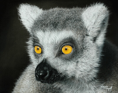 'Amber' is an open edition giclee fine art print from the original pastel drawing by Natalie Mascall ©