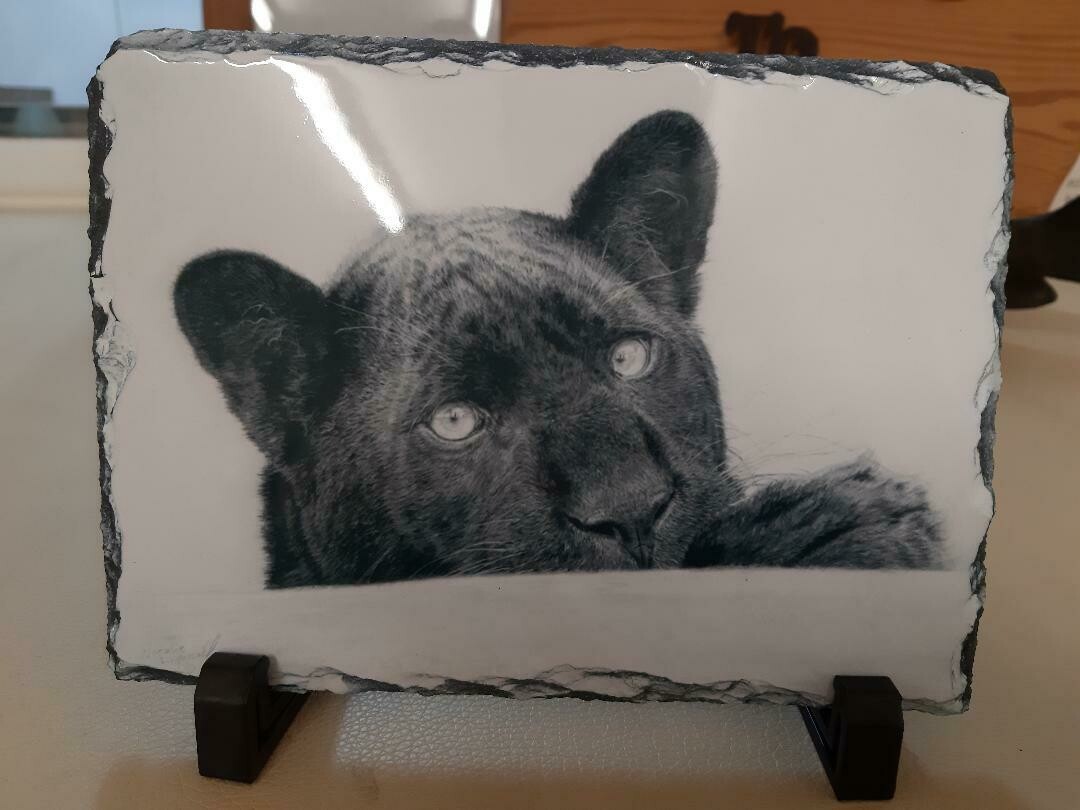Slate Art; 'Maya the Ambassador' original drawn in charcoal by Natalie Mascall and image printed on slate with stand.