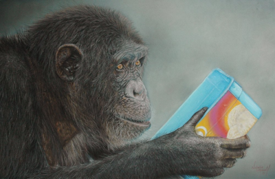 'Two Worlds Together' An original pastel drawing by Natalie Mascall © of a chimpanzee, one of the great apes that we share the closest DNA to.