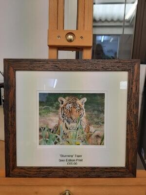 'Stunning' (tiger) is an open edition giclee fine art print from the original pastel drawing by Natalie Mascall ©