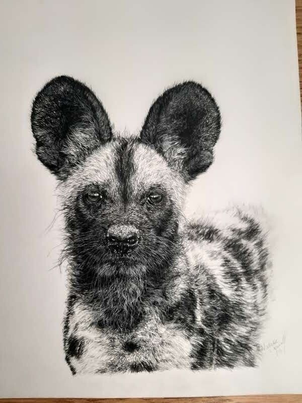 'Young Painted Dog' is an original charcoal drawing by Natalie Mascall ©