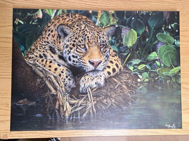 'Yaguara' © A Limited Edition giclee/fine art print, printed from the original pastel drawing of a Jaguar, drawn by Natalie Mascall. Print available on canvas or on paper (mounted). 'Yaguara' © A Limited Edition giclee/fine art print, printed from the original pastel drawing of a Jaguar, drawn by Natalie Mascall. Print available on canvas or on paper (mounted).