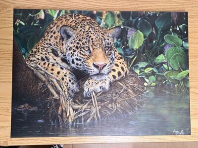 'Yaguara' © A Limited Edition Canvas print, printed from the original pastel drawing of a Jaguar, drawn by Natalie Mascall. Print available on canvas or on paper (mounted). ON PAPER COMING SOON!