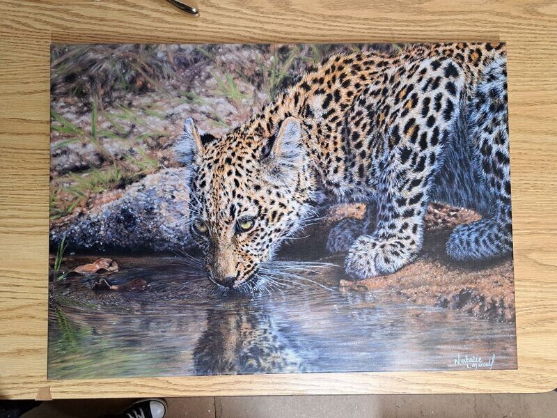 'African Beauty' © An Original Pastel/Limited Edition giclee/fine art print on canvas or paper, printed from the original pastel drawing of a Young African Leopard drinking, drawn by Natalie Mascall. 'African Beauty' © An Original Pastel/Limited Edition giclee/fine art print on canvas or paper, printed from the original pastel drawing of a Young African Leopard drinking, drawn by Natalie Mascall.