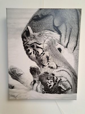Canvas prints - award winning artwork