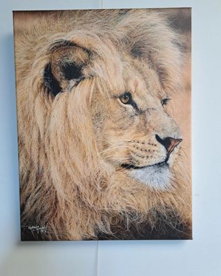 CANVAS PRINTS