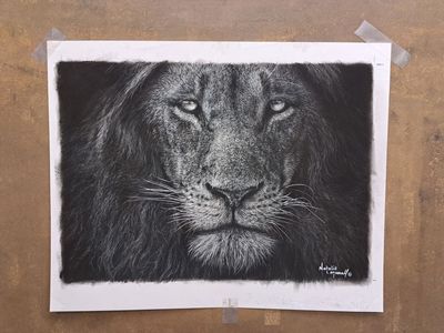 'Sun-kissed' © An original pastel drawing by Natalie Mascall © of a lion. Limited edition giclee fine art prints available on paper or canvas. Only 50 in this edition.