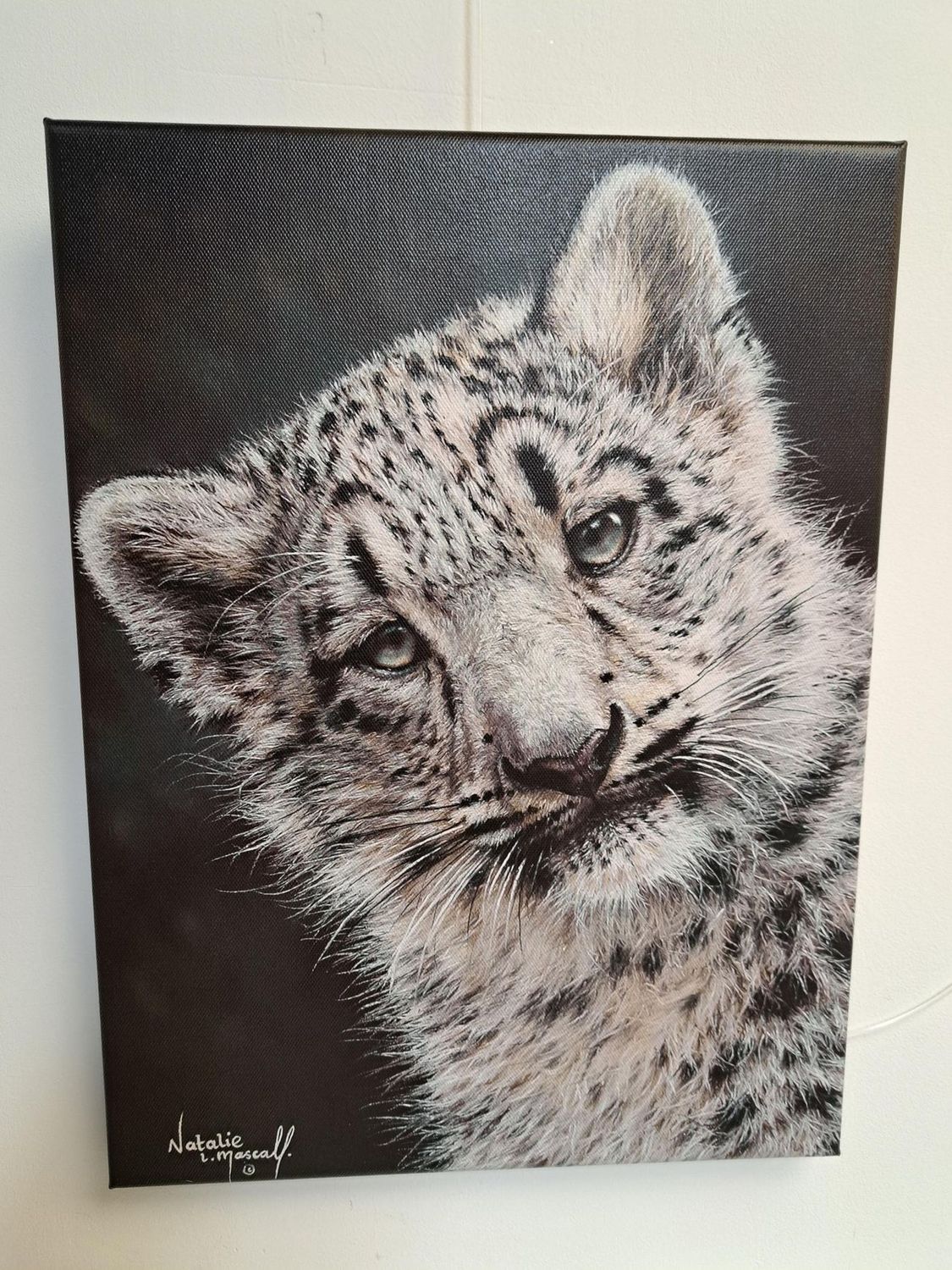 'Hara' © A Canvas print of a snow leopard from the original pastel drawing by Natalie Mascall © Each one comes ready to hang.