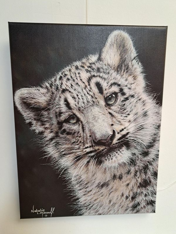 'Hara' © A Canvas print of a snow leopard from the original pastel drawing by Natalie Mascall © Each one comes ready to hang.