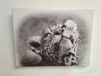 'Young Keira' © A Canvas print of a young jaguar from the original charcoal drawing by Natalie Mascall © Each one comes ready to hang.