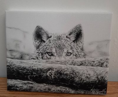 Canvas prints - canines; including both domestic and wild dogs