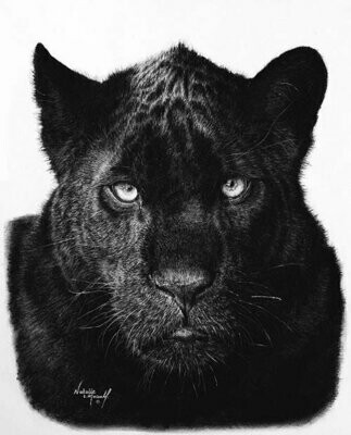 'Intent' is an Open Edition giclee fine art print of Maya by Natalie Mascall ©