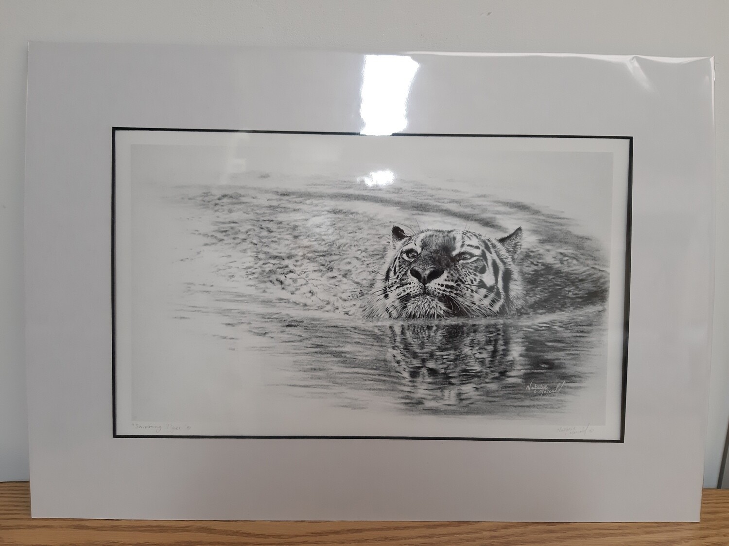 'Swimming Tiger' © is a an open edition print or a canvas print from the original charcoal drawing by Natalie Mascall © 'Swimming Tiger' © is a an open edition print or a canvas print from the original charcoal drawing by Natalie Mascall ©