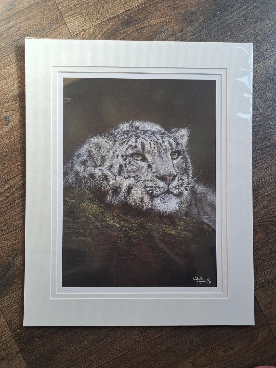 'Warjun' is an open edition fine art giclee print/canvas print of a gorgeous snow leopard from Marwell Zoo. The original was drawn in pastel by Natalie Mascall. The original is available. 'Warjun' is an open edition fine art giclee print/canvas print of a gorgeous snow leopard from Marwell Zoo. The original was drawn in pastel by Natalie Mascall. The original is available.
