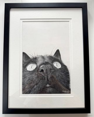 'Close-up!' is an original pastel and charcoal drawing by Natalie Mascall © Canvas and paper prints available. 'Close-up!' is an original pastel and charcoal drawing by Natalie Mascall © Canvas and paper prints available.