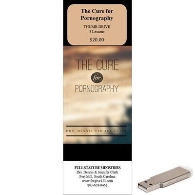 The Cure for Pornography (thumb drive)