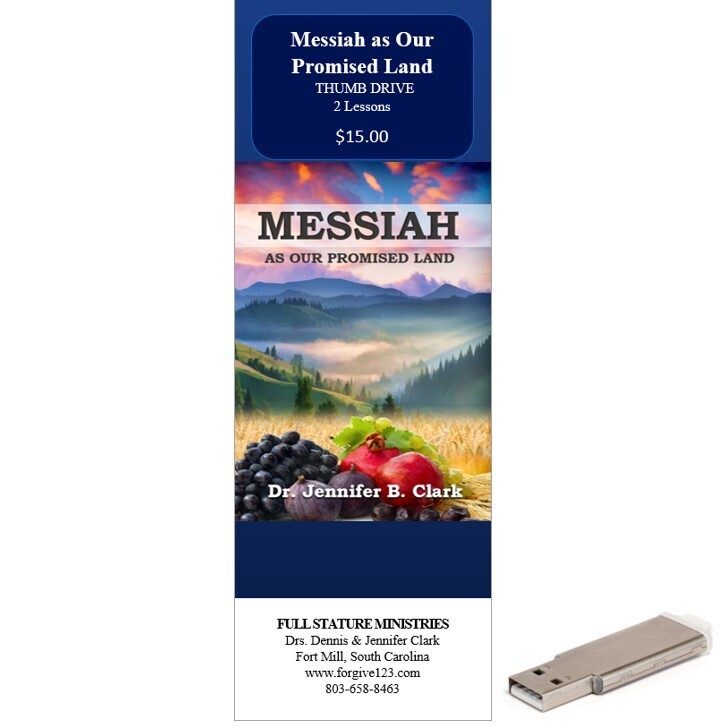 Messiah as Our Promised Land (thumb drive)