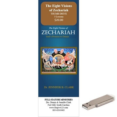 The Eight Visions of Zechariah: God's Promise to Dennis (thumb drive)