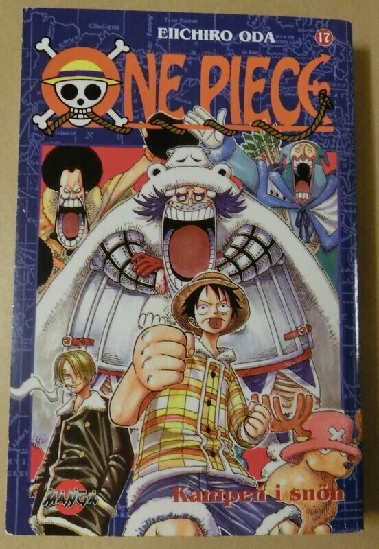 One piece 17