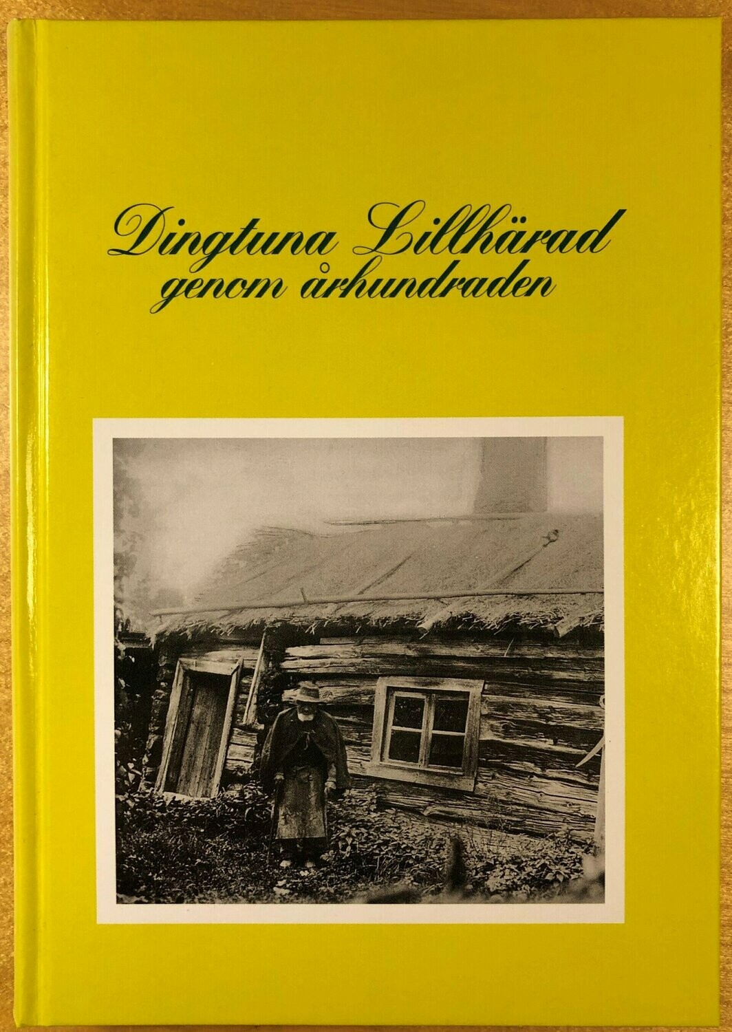 Dingtuna Lillhärad genom århundraden
