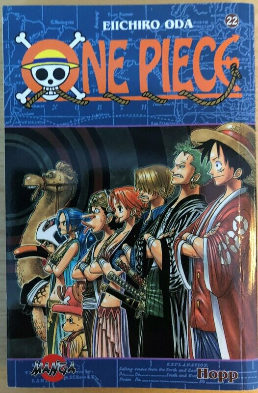 One Piece 22