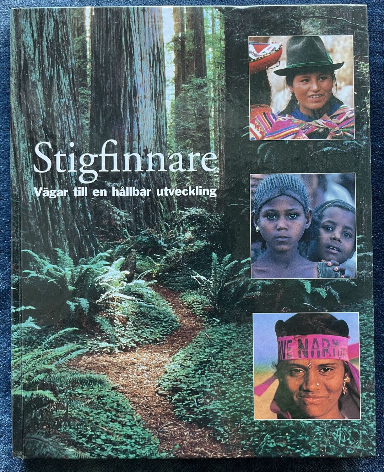 Stigfinnare - Vägar till en hållbar utveckling