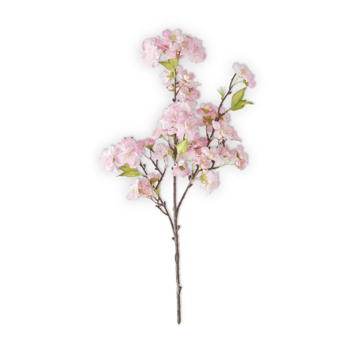 Pink Cherry Blossom Stem