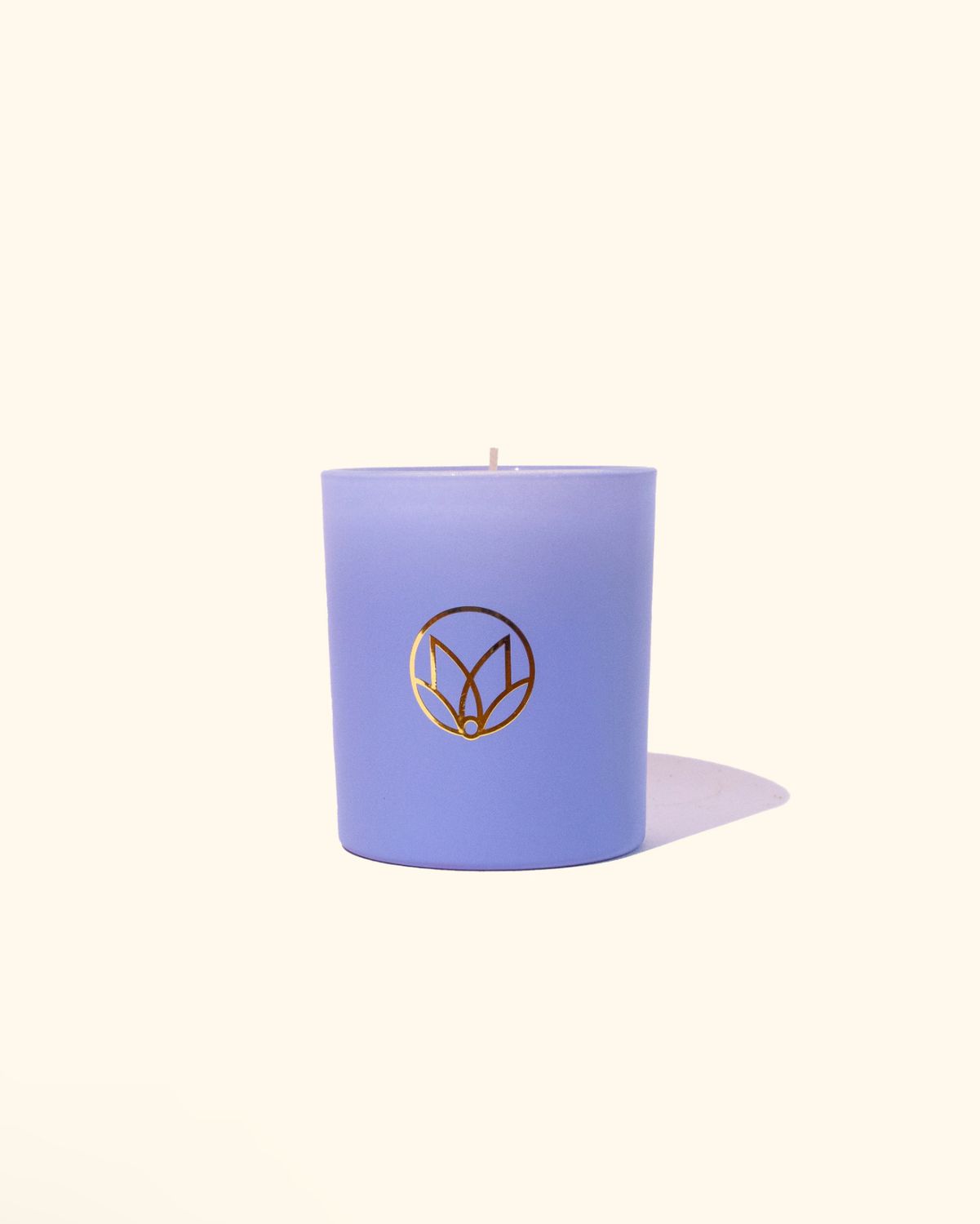 Amber &amp; Vanilla Soy Candle