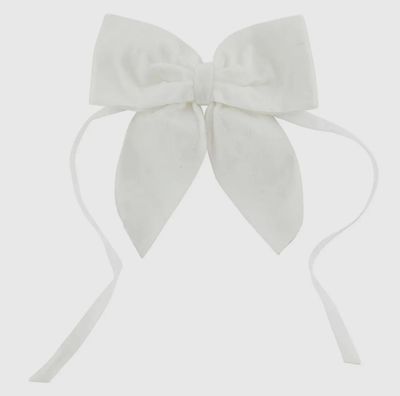 Velvet Napkin Ties/White (4)