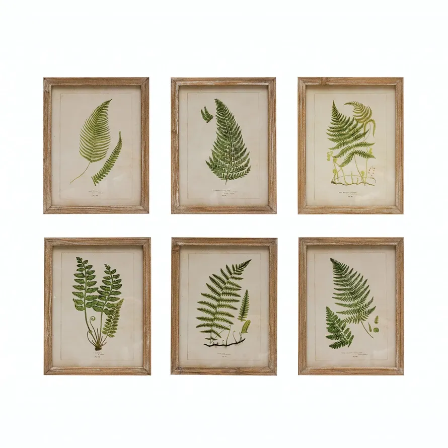 Wood Framed Fern Print