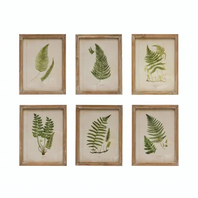 Wood Framed Fern Print