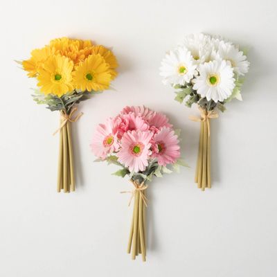 Daisy Bush/White
