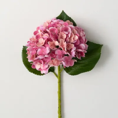 Hydrangea Spray/FUS