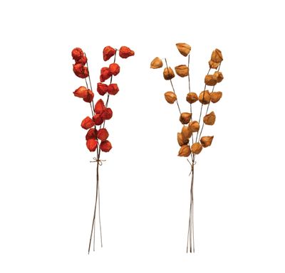 Fall Paper Lantern Bunch/4Pieces