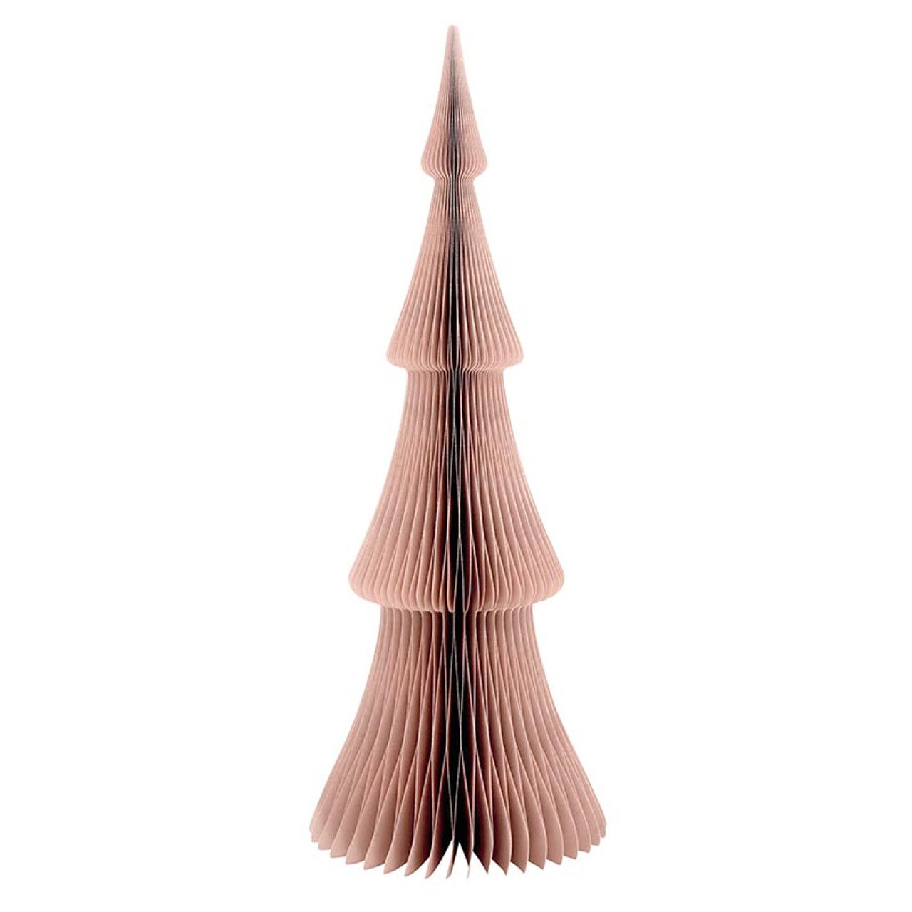 Paper Tree Rose/24"