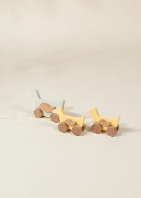 Duck Family Pull Toy