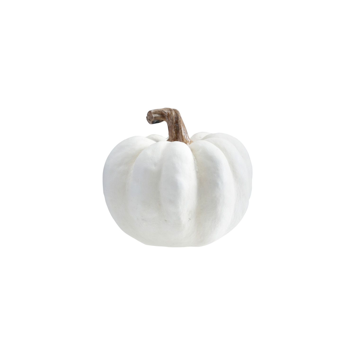 White &amp; Cream Pumpkin/SM