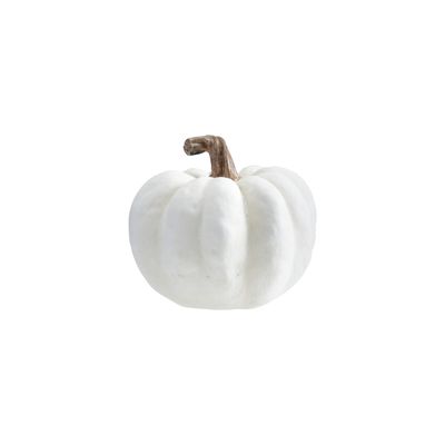 White &amp; Cream Pumpkin/SM
