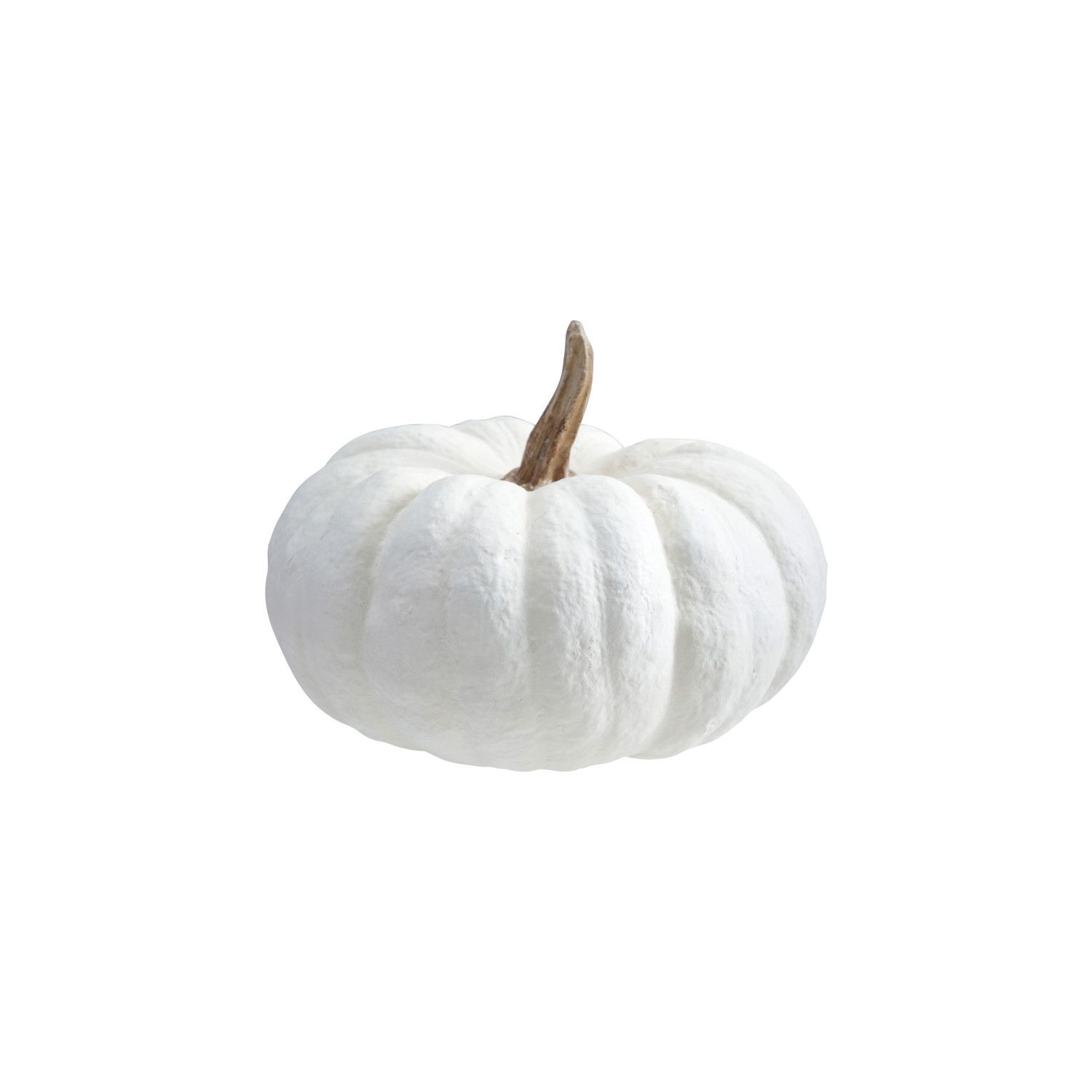 White &amp; Cream Pumpkin/MD