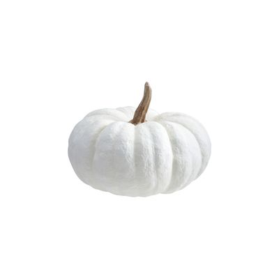 White &amp; Cream Pumpkin/MD
