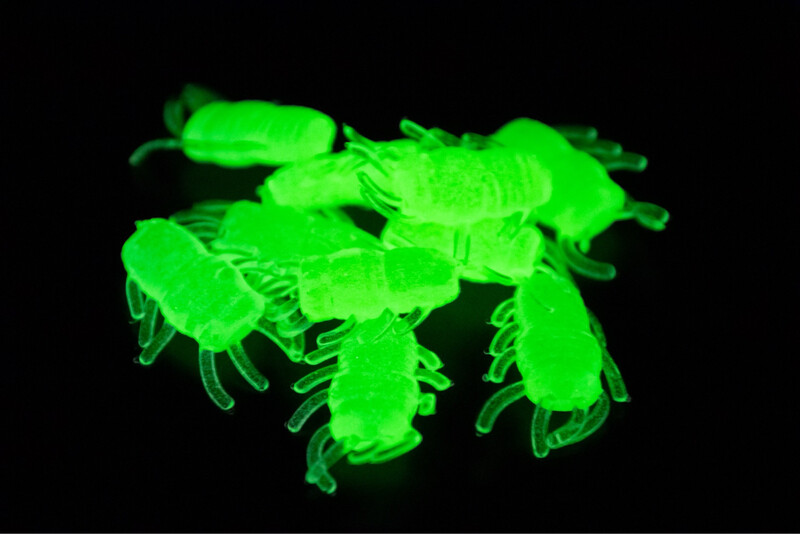 Ice Bug's - Chartreuse Glow