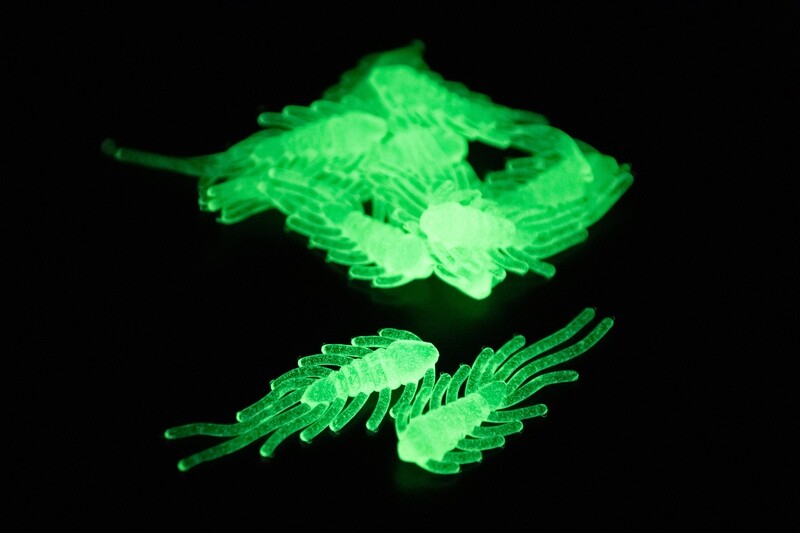Scud Bugs - Chartreuse/Glow