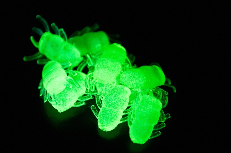 Ice Bugs- Chartreuse/Glow