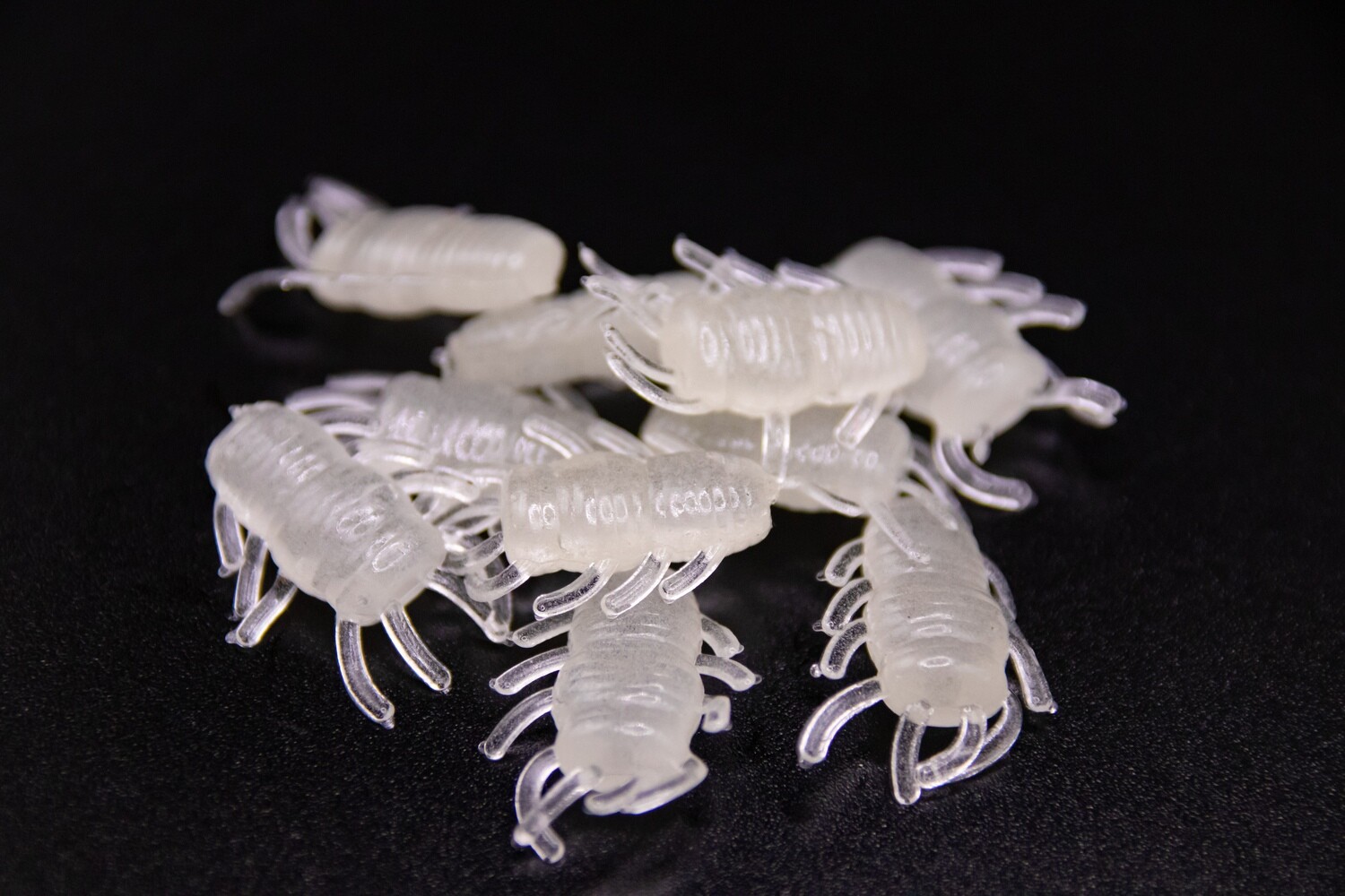 Ice Bugs - Natural Glow