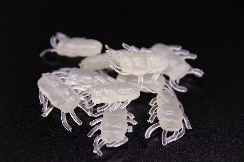 Ice Bugs - Natural Glow